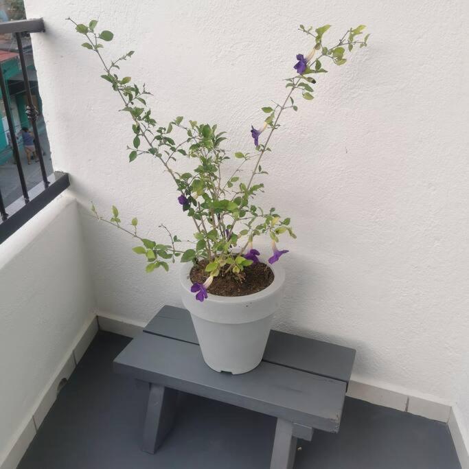 Lovely Studio Apartment With Balcony Ac & Wi-Fi, Minutes From Downtown! ซีฮัวตาเนโค ภายนอก รูปภาพ