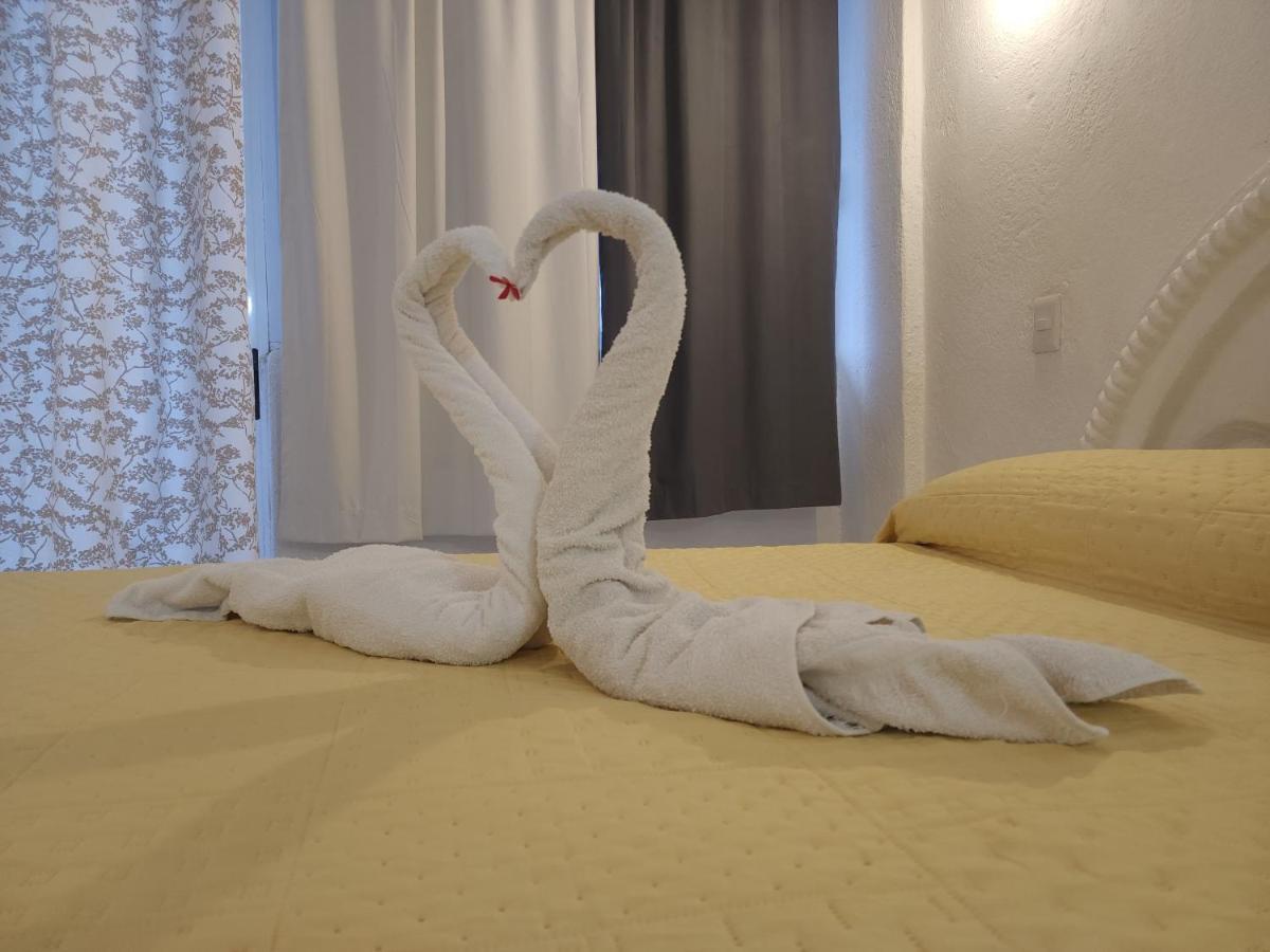 Lovely Studio Apartment With Balcony Ac & Wi-Fi, Minutes From Downtown! ซีฮัวตาเนโค ภายนอก รูปภาพ