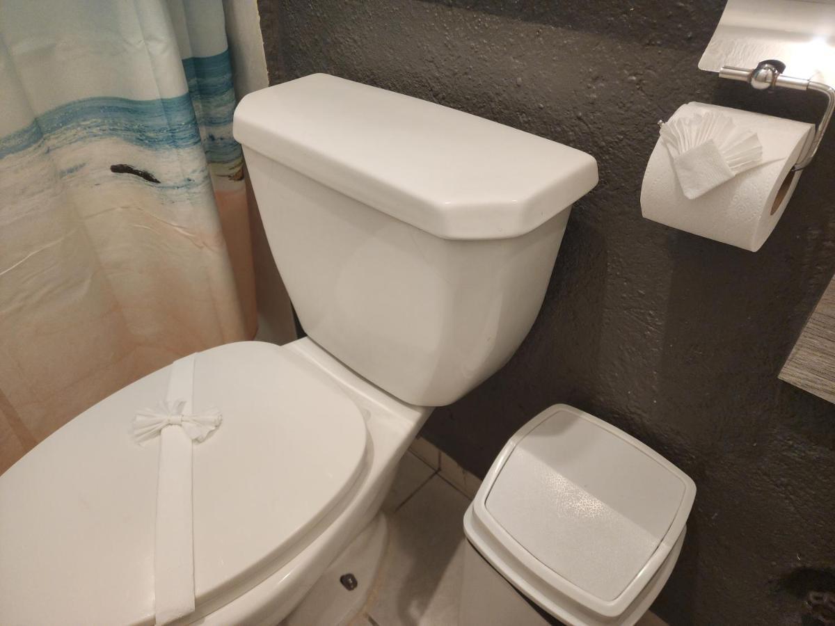 Lovely Studio Apartment With Balcony Ac & Wi-Fi, Minutes From Downtown! ซีฮัวตาเนโค ภายนอก รูปภาพ